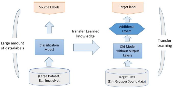 A classification model trains on source data and source labels; the model without its output layer moves to target data, where additional layers produce the target label.