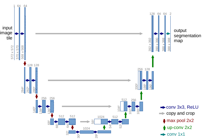 The U-Net architecture from the paper: a contracting column of blue conv blocks separated by red max-pools, an expanding column of green up-convs, and grey copy-and-crop arrows that carry each encoder map across to the matching decoder level.